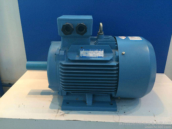 高效節(jié)能電機(jī)是西安泰富西瑪未來商業(yè)發(fā)展的方向。